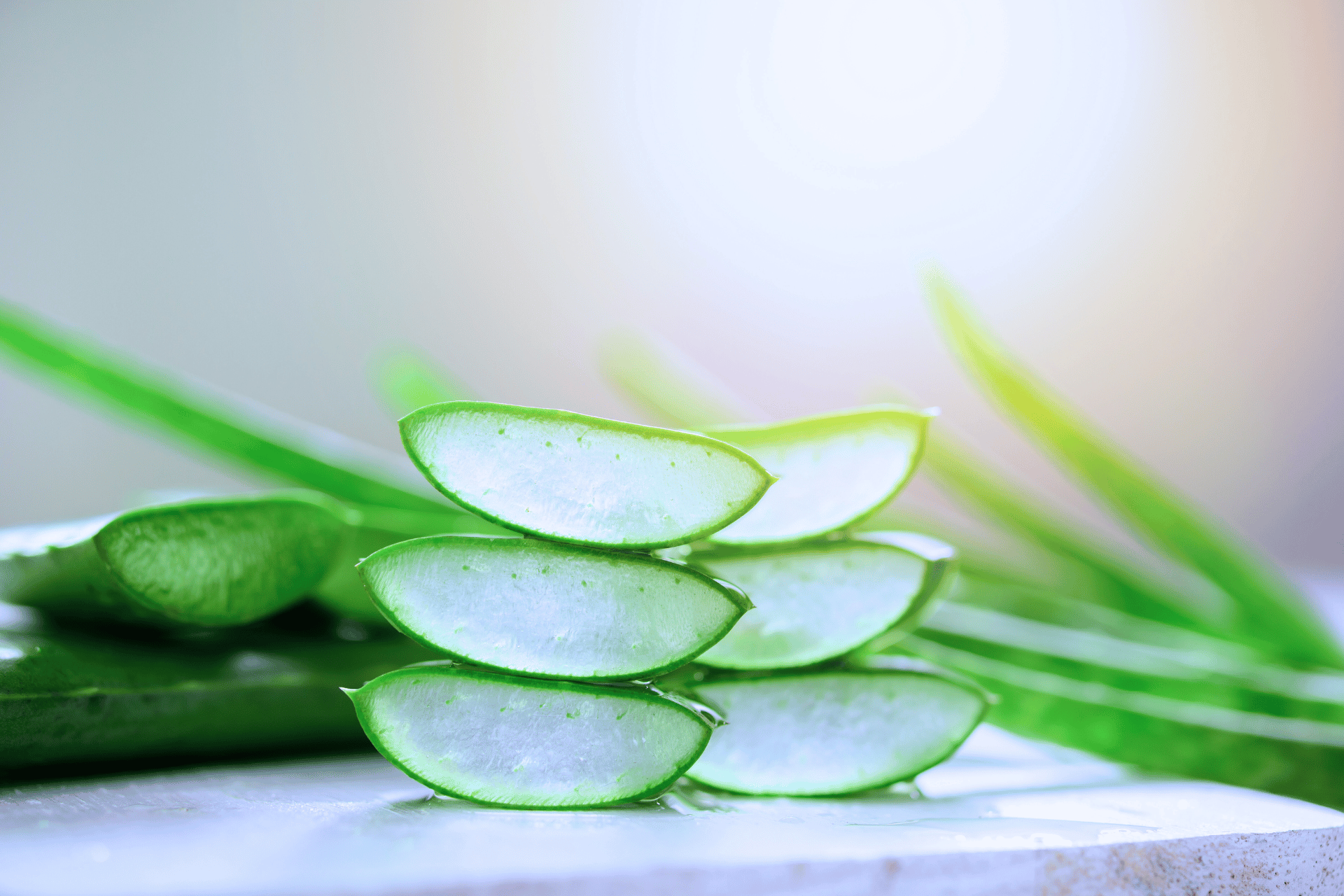 Aloe vera: benefici scientifici per la cura della pelle  Owlystic