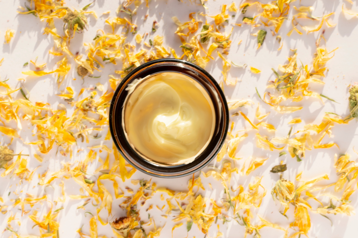 Calendula nella skincare: proprietà, benefici e usi per la pelle sensibile