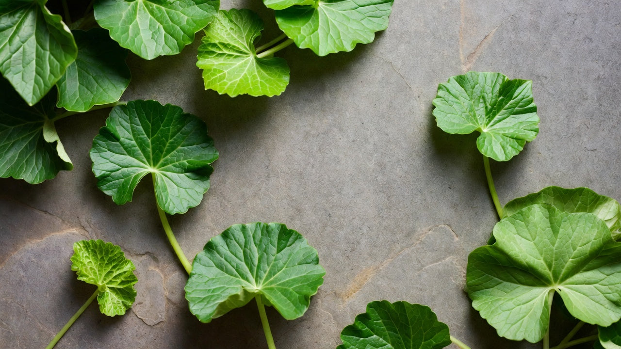 Centella Asiatica: cosa fa davvero sulla pelle