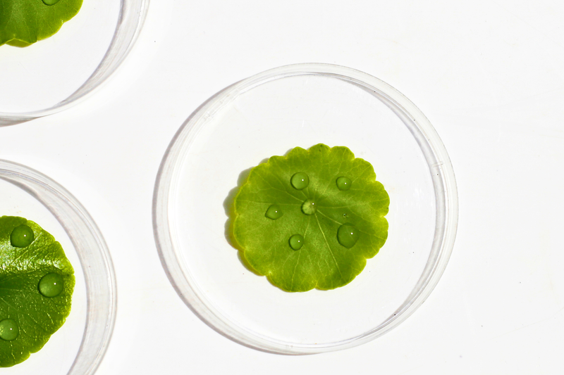 Esosomi e skin longevity