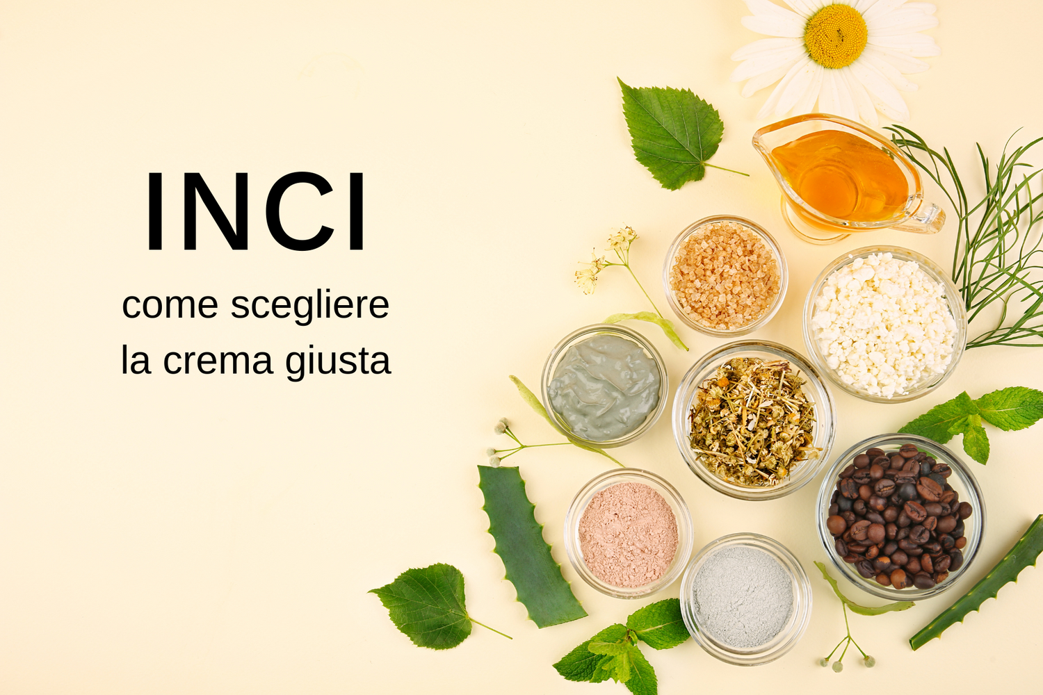 INCI a confronto: come scegliere davvero la crema giusta